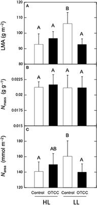 Limitation in the Photosynthetic Acclimation to High Temperature in Canopy Leaves of Quercus serrata